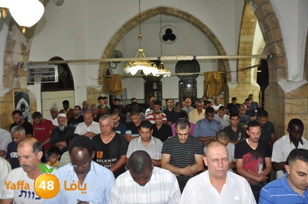 trawe7 7san bek 715 (8).JPG